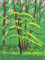 David Hockney / 
The Arrival of Spring in Woldgate, East Yorkshire in 2011 (twenty eleven) / - 19 May / 
iPad drawing printed on paper / 
57 x 44 in. (145 x 112 cm) framed  / 
Edition of 25 / 
Private collections
