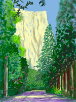 David Hockney / 
Yosemite II, October 16th 2011 / 
iPad drawing printed on four sheets of paper, mounted on four sheets of Dibond / 
each panel: 46 1/2 x 35 in. (118.1 x 88.9 cm) / 
overall: 93 x 70 in. (236.2 x 177.8 cm) / 
Edition of 12
