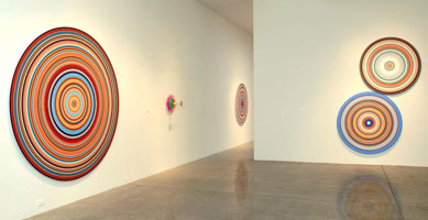 Installation photography, Don Suggs: Concentric