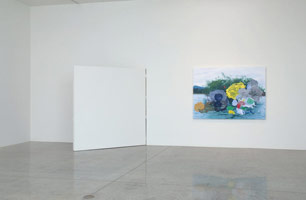 Installation photography / 
Rogue Wave Projects: / Eduardo Sarabia: History of the World