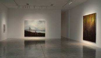 Installation photography, Enrique Martínez Celaya: Daybreak