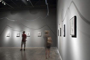 Songbirds, 2013 / 
Installed at SITE Santa Fe in The Pearl