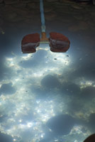 Detail of the lungs in The Better Place, 2013 / 
Installed at SITE Santa Fe in The Pearl