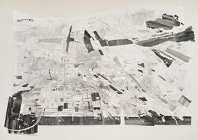 Fran Siegel / 
Overland 8, 2009  / 
pencil, ink and pigment on cut paper / 
84 x 128 1/2 in. (213.4 x 326.4 cm)