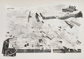 Fran Siegel / 
Overland 8, 2009  / 
pencil, ink and pigment on cut paper / 
84 x 128 1/2 in. (213.4 x 326.4 cm)