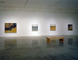 Installation photography / 
Fred Williams: The Later Landscapes, 1975 - 1981