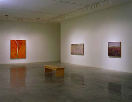 Installation photography / 
Fred Williams: The Later Landscapes, 1975 - 1981