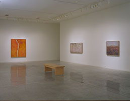 Installation photography / 
Fred Williams: The Later Landscapes, 1975 - 1981