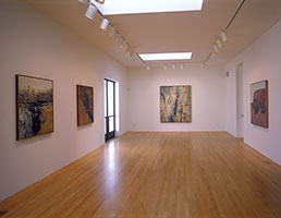 Installation photography / 
Fred Williams: The Later Landscapes, 1975 - 1981