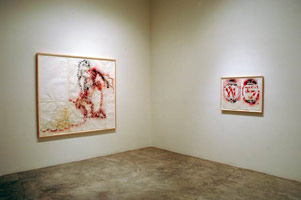 Installation photography, Gajin Fujita: Twilight Blush