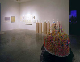 Installation photography / 
Rogue Wave '05: / 
19 Artists from Los Angeles