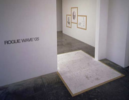 Installation photography / 
Rogue Wave '05: / 
19 Artists from Los Angeles