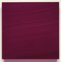 Jason Martin / 
Crux, 2002 / 
oil on anodized aluminum  / 
27 1/2 x 27 1/2 in. (70 x 70 cm) / 
Private collection 