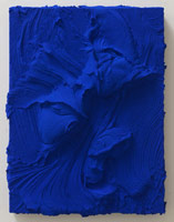 Jason Martin / 
Culpa, 2009 / 
      pure pigment on panel / 
      23 3/4 x 18 1/4 in (60 x 46 cm) / 
      Private collection