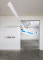 Installation photography, Joel Shapiro