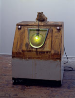 Ed Kienholz / 
The Blink, Blink Frog, 1963 / 
mixed media assemblage / 
44 x 31 x 26 in. (111.8 x 78.7 x 66 cm)