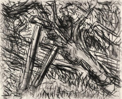 Cherry Tree, Spring, 2003 / 
      charcoal on paper / 
      21.69 x 26.81 in. (55.1 x 68.1 cm) / 
      Private collection 