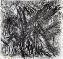 Cherry Tree with Tube Train / 
      charcoal on paper  / 
      20.59 x 22.01 in. (52.3 x 55.9 cm) / 
      Private collection