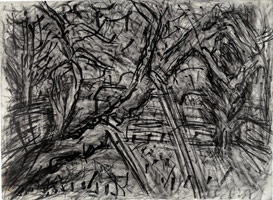 Cherry Tree with Diesel, 2003 / 
      charcoal on paper / 
      22.05 x 29.76 in. (56 x 75.6 cm) / 
      Private collection