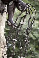Alison Saar / 
Spring, 2011 / 
cast bronze / 
approx. 8 ft (2.4 m) tall 
