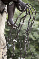 Alison Saar / 
Spring, 2011 / 
cast bronze / 
approx. 8 ft (2.4 m) tall 