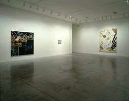 Juan Uslé installation photography, 1996