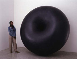 Peter Shelton / 
blackhole, 2002 / 
mixed media / 
98 x 98 x 46 in (248.9 x 248.9 x 116.8 cm) / 
Private collection