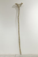 Peter Shelton / 
birthbone, 1991 - 92 / 
mixed media / 
113 x 19 x 7 1/2 in (287 x 48.3 x 19 cm)