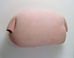 Peter Shelton / pinkloaf, 1999 - 2000  / mixed media / 28 x 49 x 23 in (71.12 x 124.46 x 58.42 cm)	