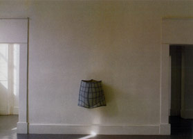 Peter Shelton installation photography, 1998