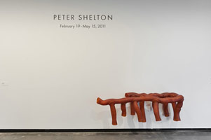 Installation photography, Peter Shelton, Portland Art Museum