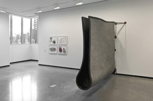 Installation photography, Peter Shelton, Portland Art Museum