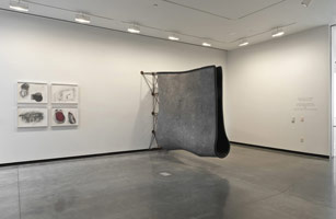 Installation photography, Peter Shelton, Portland Art Museum