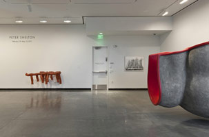 Installation photography, Peter Shelton, Portland Art Museum