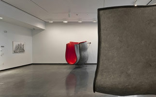 Installation photography, Peter Shelton, Portland Art Museum