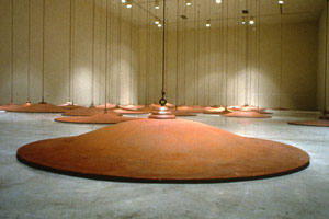 Peter Shelton / 
sixtyslippers, 1997 / 
cast iron / 
60 discs of variable dimensions