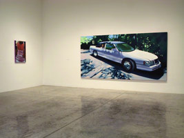 Installation photography / 
Rebecca Campbell: Thin Skin