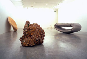 Richard Deacon installation photography, 1995