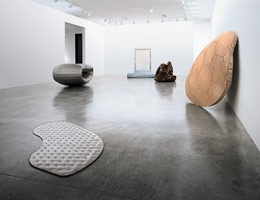 Richard Deacon: Not Yet Beautiful / 
Installation photography