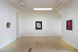 Installation photography, Richard Nonas