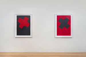 Installation photography, Richard Nonas