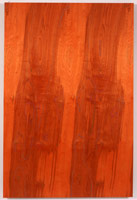 Sharon Ryan / 
128, 2001 / 
acrylic on birch / 
72 x 48 in (182.9 x 121.9 cm) 