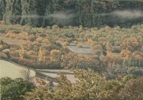 Anderson Valley Creek #1, 2005 / 
      oil on polyester / 
      5 x 7 in. (12.7 x 17.8 cm) / 
      Private collection 