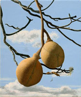 Buckeye Seed Pods, 2004 / 
      oil on polyester / 
      6 x 5 in. (15.2 x 12.7 cm) / 
      Private collection 