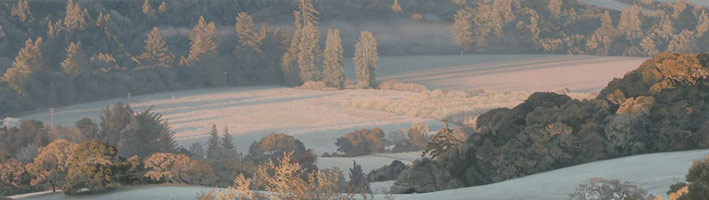 Heavy Frost at Sunrise, 2006  / 
      oil on polyester / 
      8 x 28 in. (20.3 x 71.1 cm) / 
      Private collection