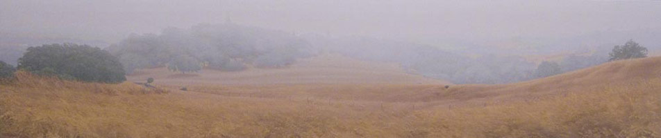 Sandra Mendelsohn Rubin / 
Late Summer Fog, 2006 / 
oil on polyester / 
Unframed; 15 x 70 in. (38.1 x 177.8 cm) / 
Framed: 15 7/8 x 70 7/8 in. (40.3 x 180 cm) / 
Private collection 