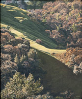 Hillside in Spring, 2009 / 
oil on polyester / 
6 x 5 in (15.2 x 12.7 cm) / 
Private collection 