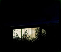 Sandra Mendelsohn Rubin / 
Malibu Window, 1982 / 
oil on canvas / 
48 x 56 in. (121.9 x 142.2 cm) / 
Private collection 