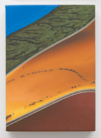 Sandra Mendelsohn Rubin / 
Salt Pond #1, 2012 / 
oil on polyester / 
7 x 5 in. (17.8 x 12.7 cm)