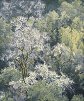 Trees in Winter, 2011 / 
oil on polyester / 
9 x 7 1/2 in. (22.9 x 19.1 cm) / frame: 12 1/4 x 10 3/4 in. (31.1 x 27.3 cm) / 
Private collection 